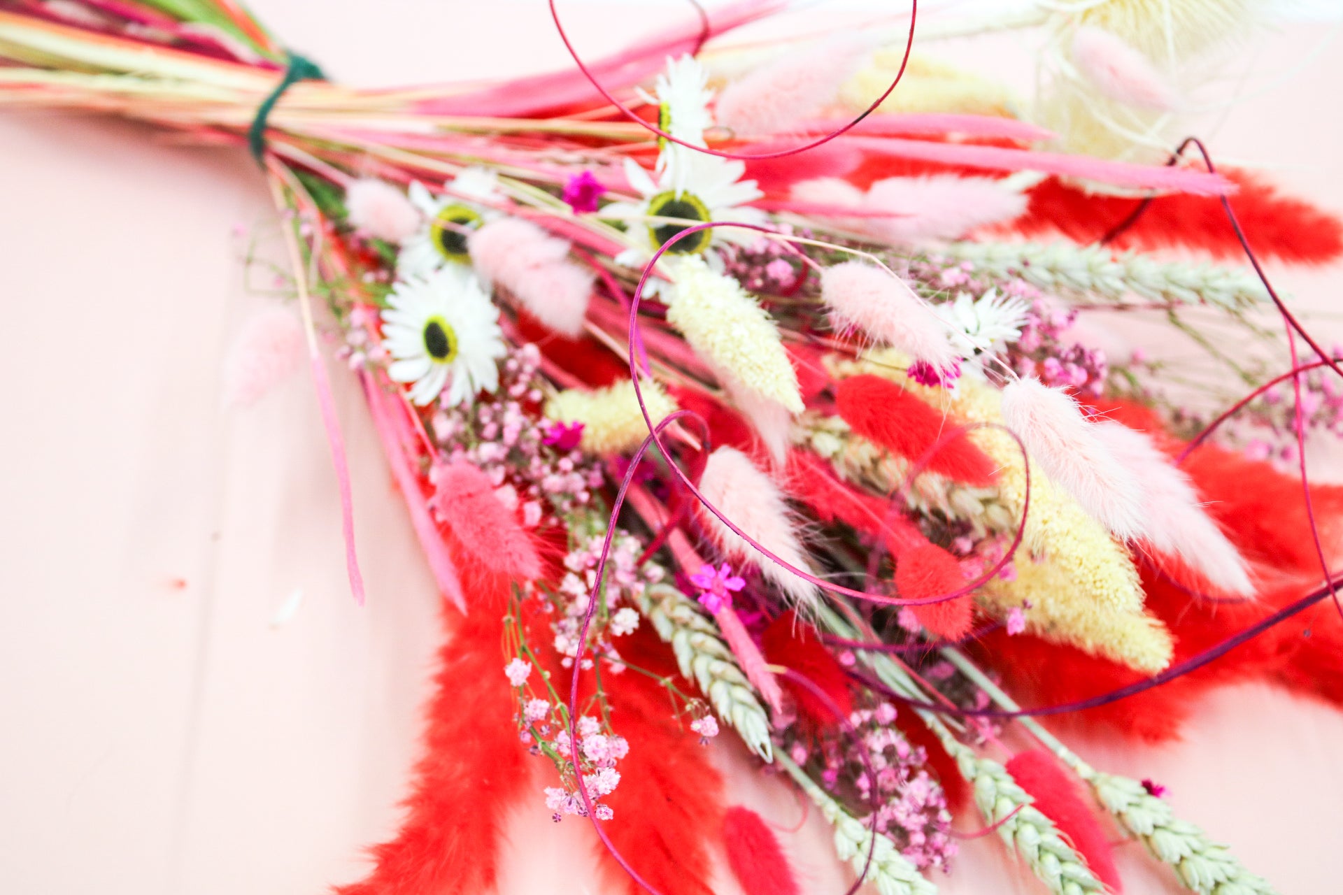 Vibrant Dried Flower Bouquet – Red & Pink Everlasting Decor - Magic and Stars -Dried Flowers-Wildest Dreams Flowers
