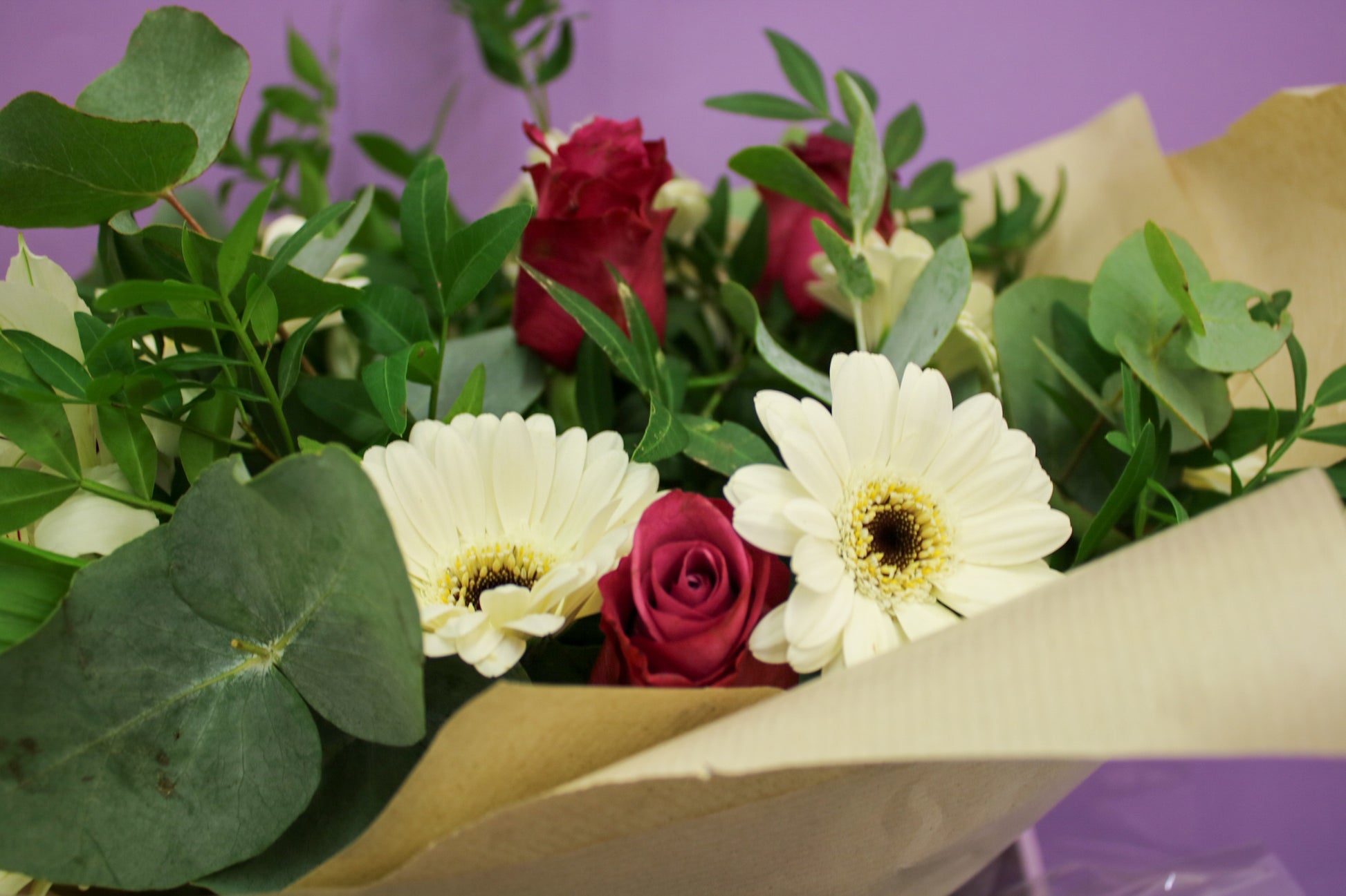 Vibrant Gerbera Seasonal Bouquet - Fresh Hand-Tied Flowers