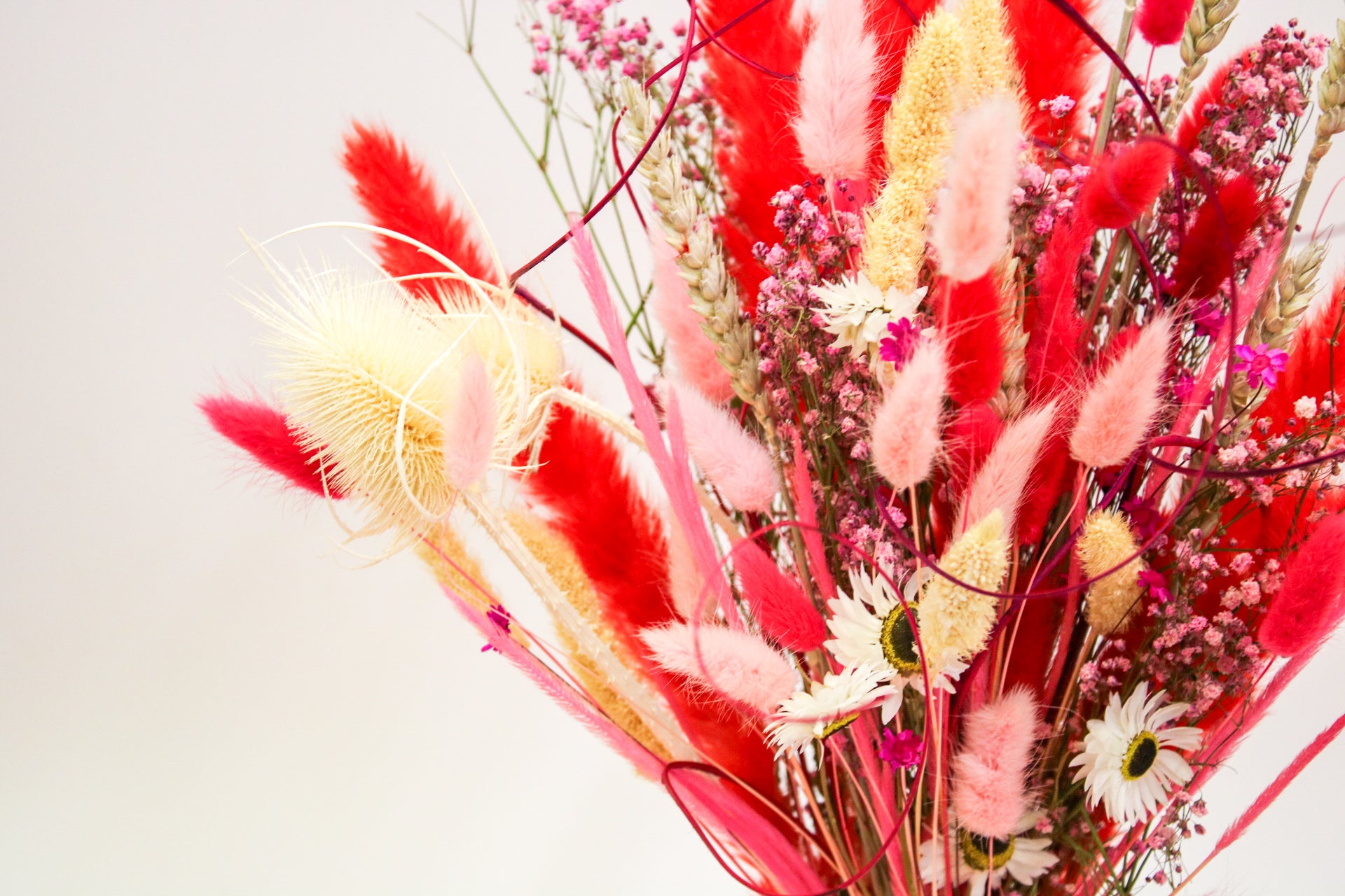 Vibrant Dried Flower Bouquet – Red & Pink Everlasting Decor - Magic and Stars -Dried Flowers-Wildest Dreams Flowers