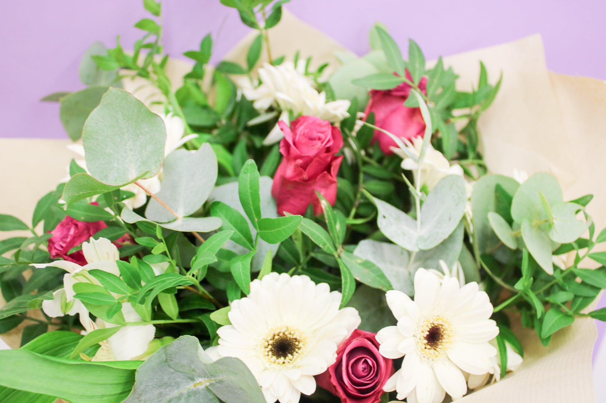 Vibrant Gerbera Seasonal Bouquet - Fresh Hand-Tied Flowers