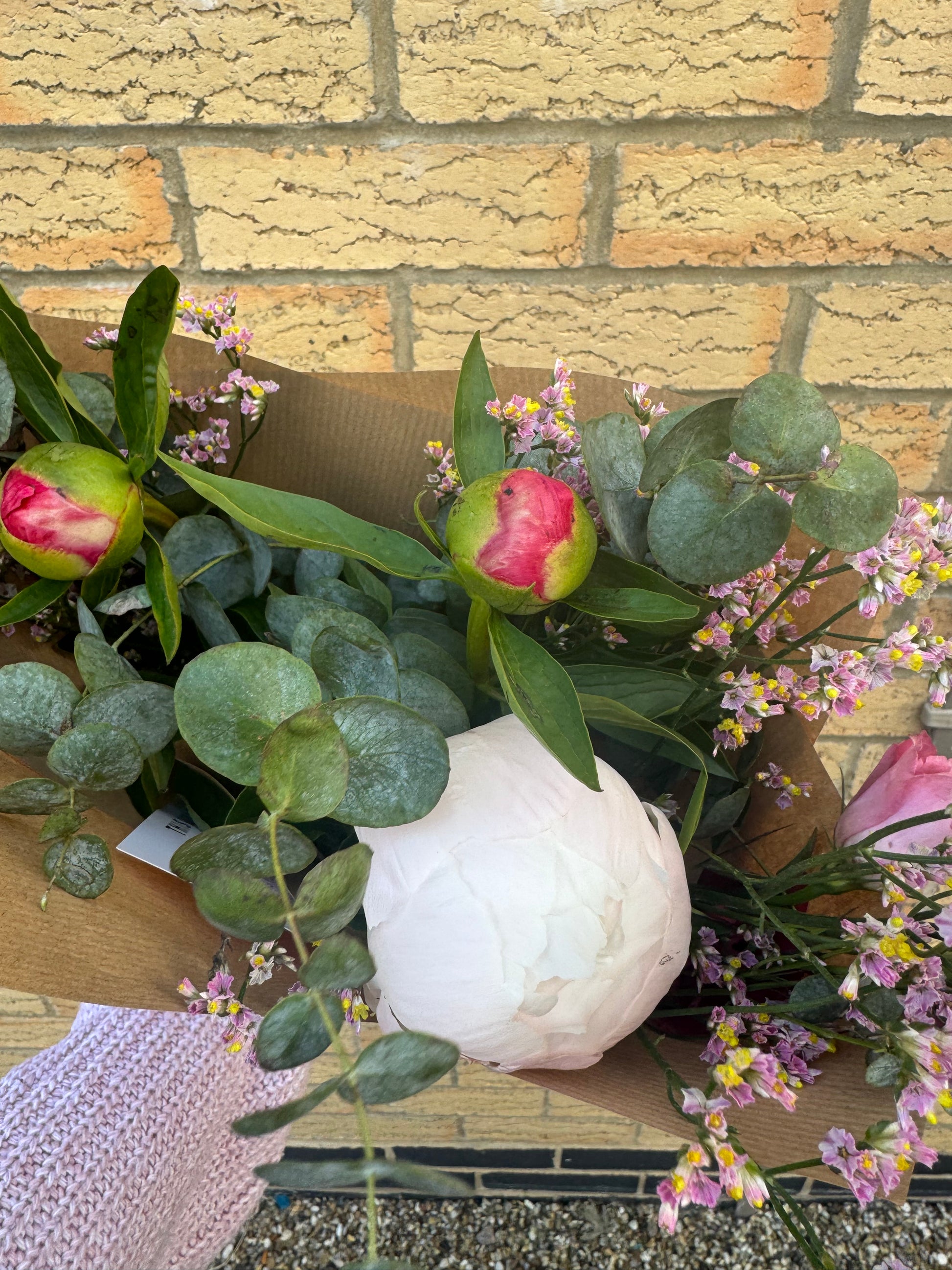 Dreamy Peony Bunch | Fresh Seasonal Peonies | Luxe Flower Gift Wrap | Wild & Romantic - Magic and Stars --Wildest Dreams Flowers