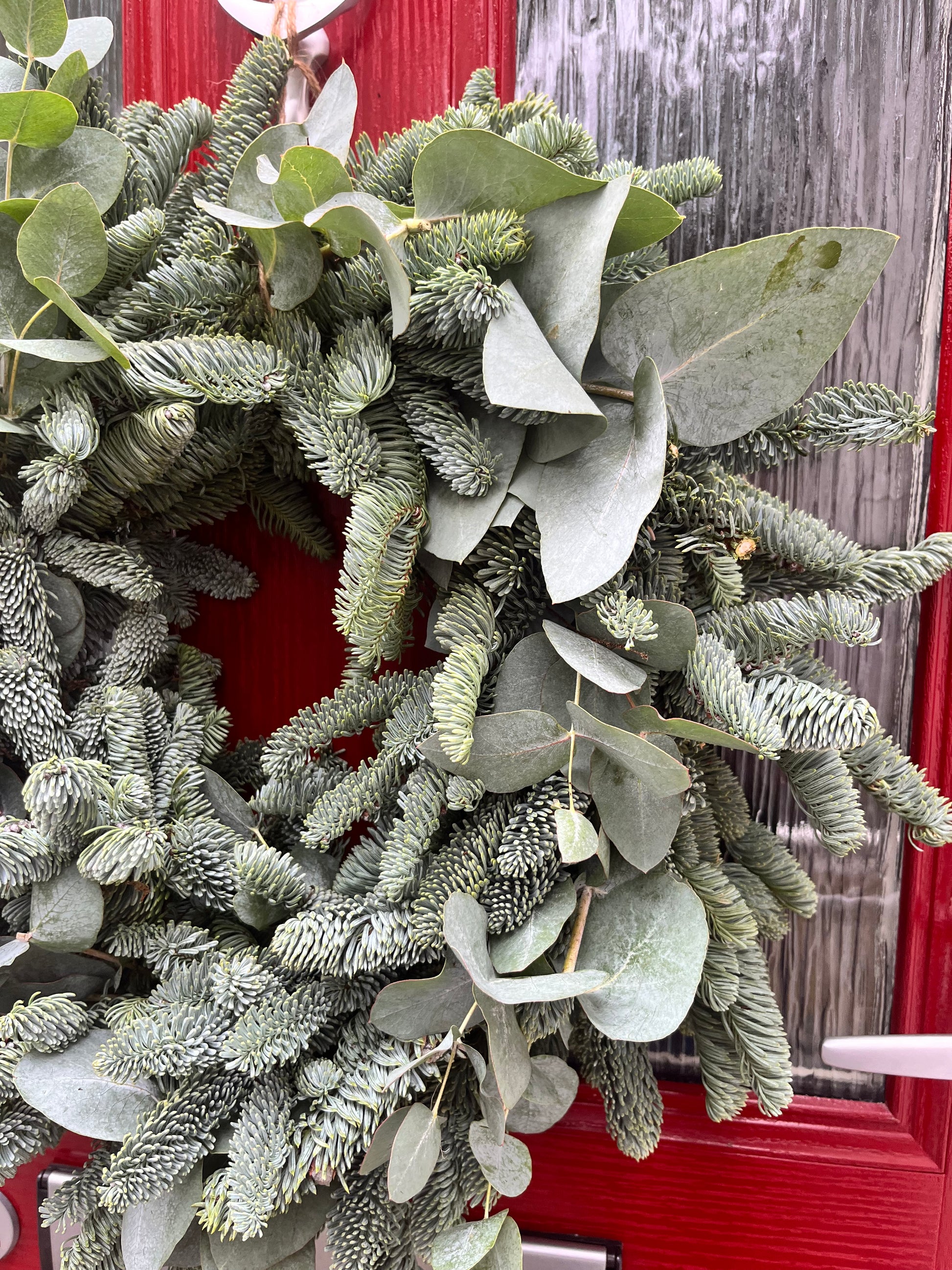 Fresh Green Christmas Wreath | Pine & Eucalyptus Door Wreath | Natural Festive Decoration