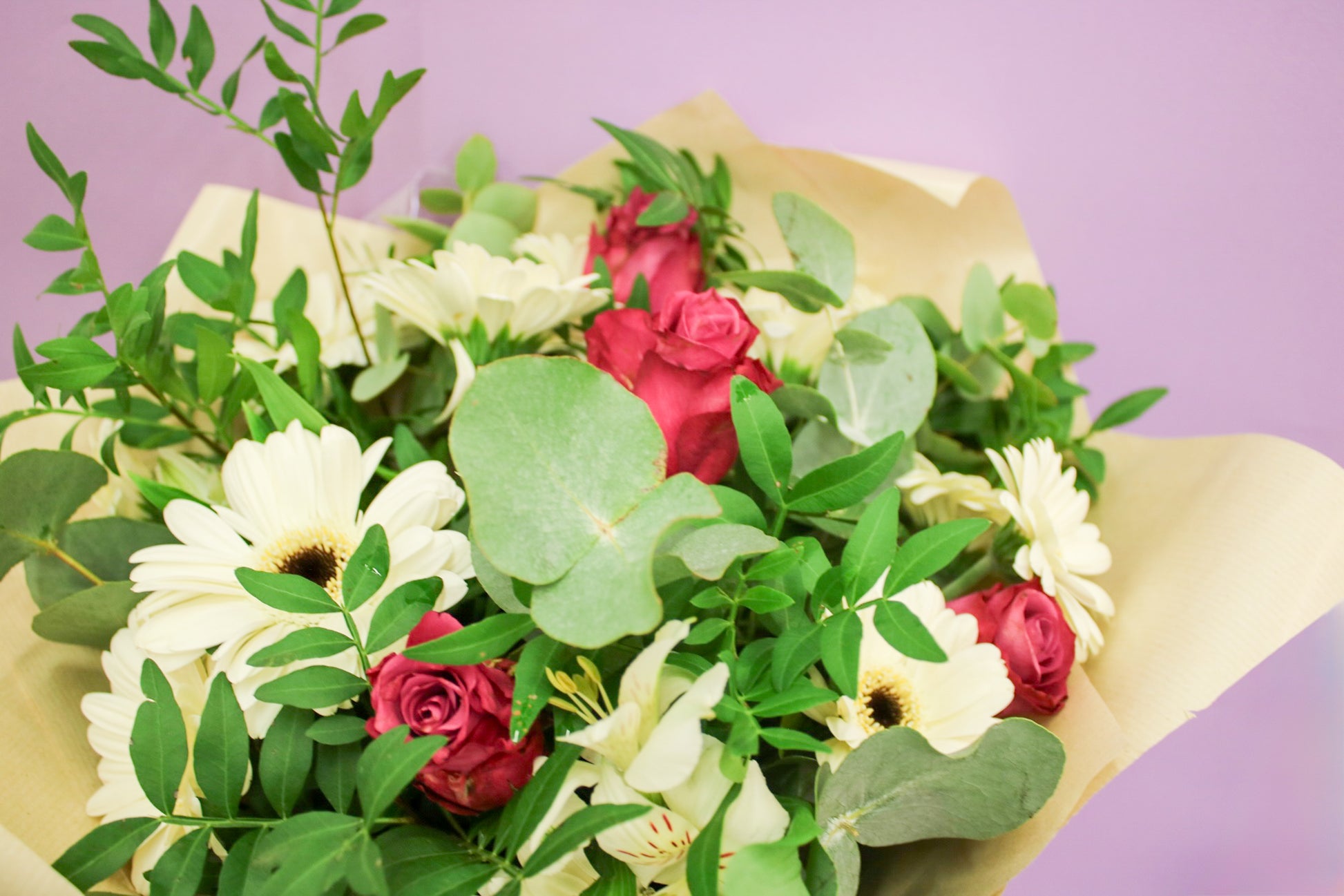 Vibrant Gerbera Seasonal Bouquet - Fresh Hand-Tied Flowers