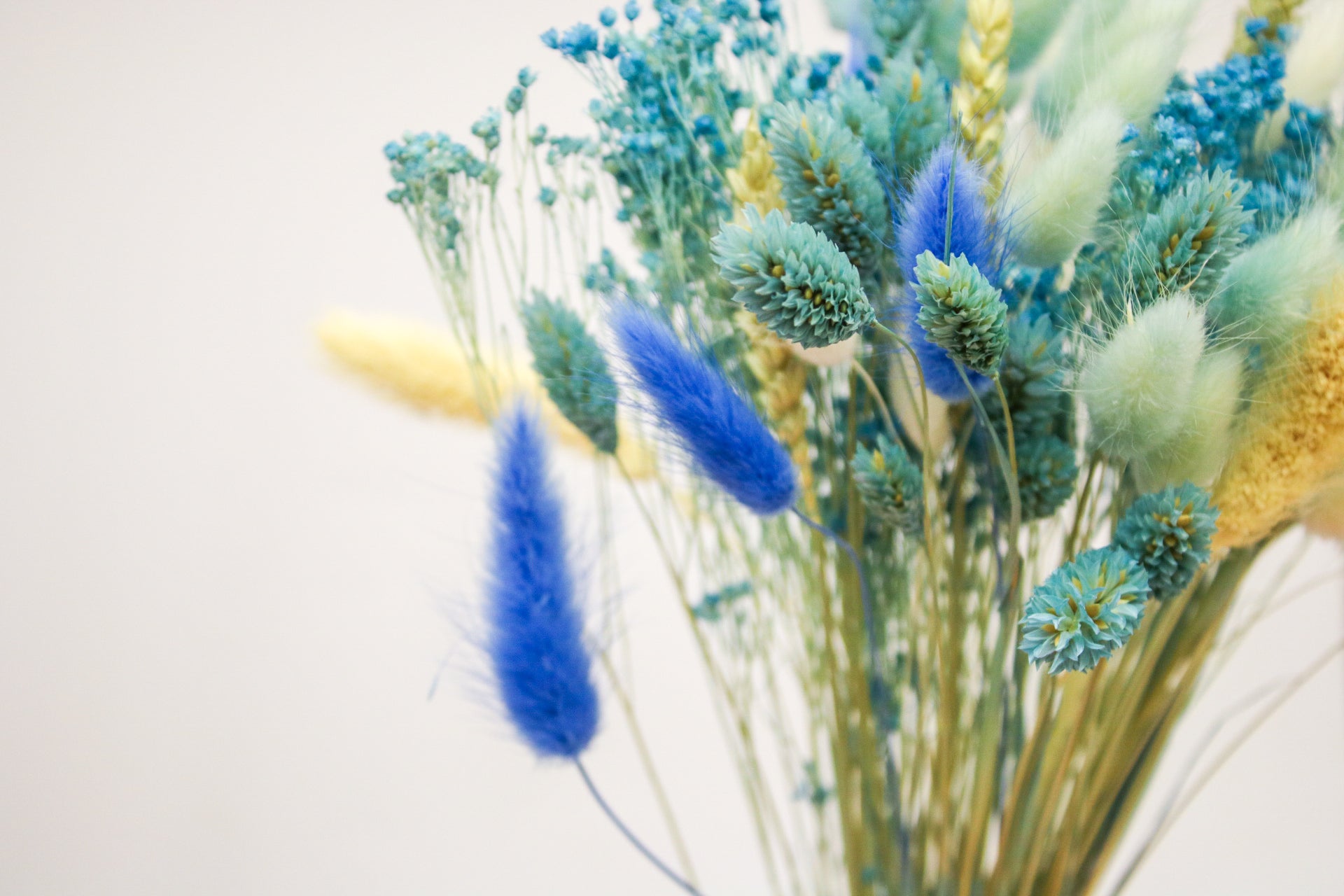 Dried Flower Bouquet in Light Blue and White - Magic and Stars -Dried Flowers-Wildest Dreams Flowers