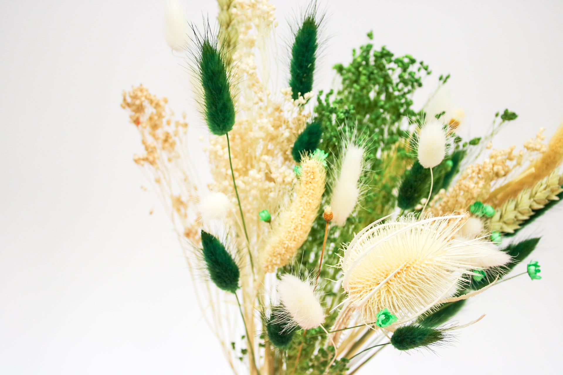 Dried flowers Bouquet Green & White - Magic and Stars -Dried Flowers-Wildest Dreams Flowers