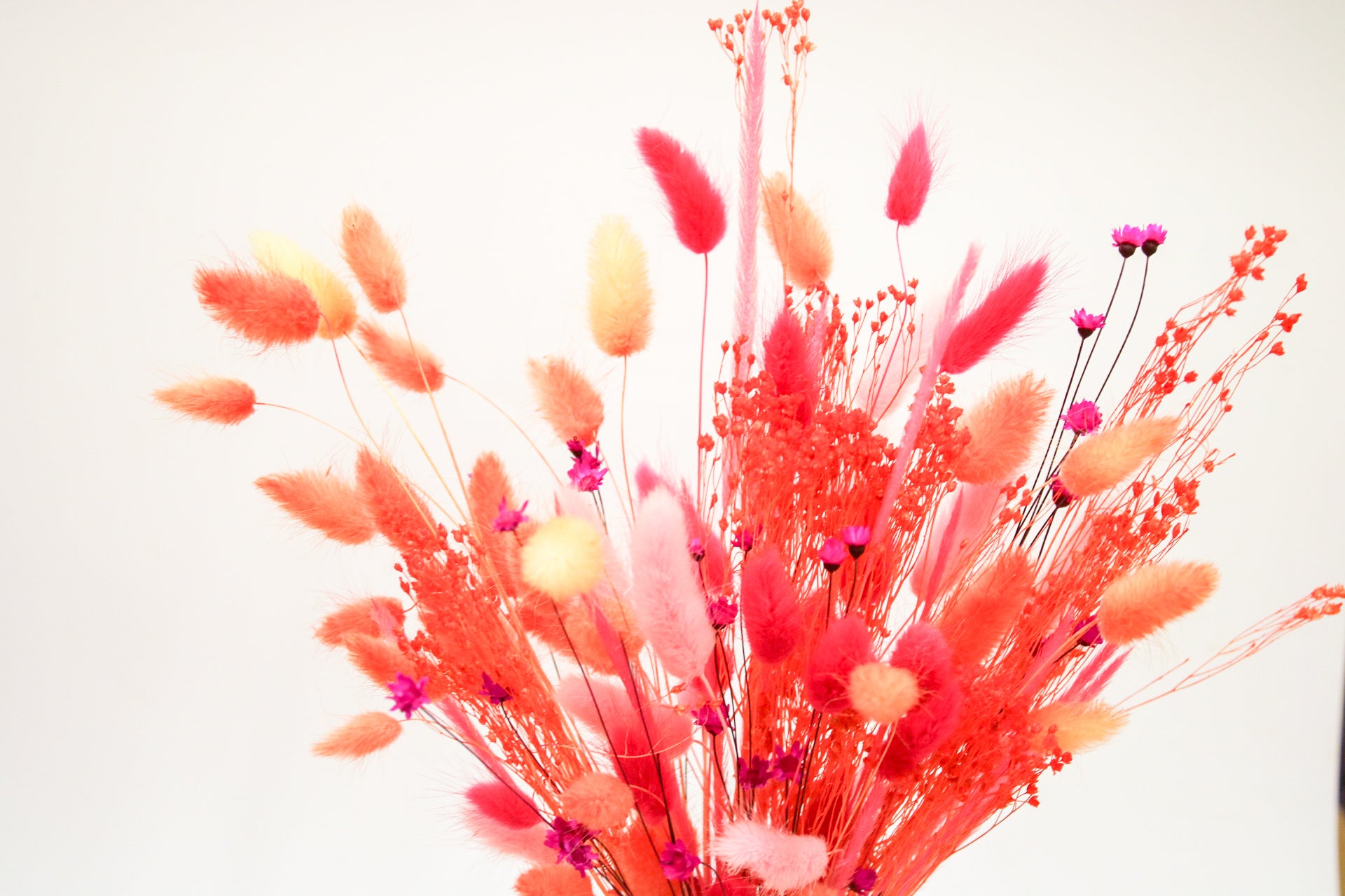Orange & Pink Dried Flower Bouquet - Magic and Stars -Dried Flowers-Wildest Dreams Flowers