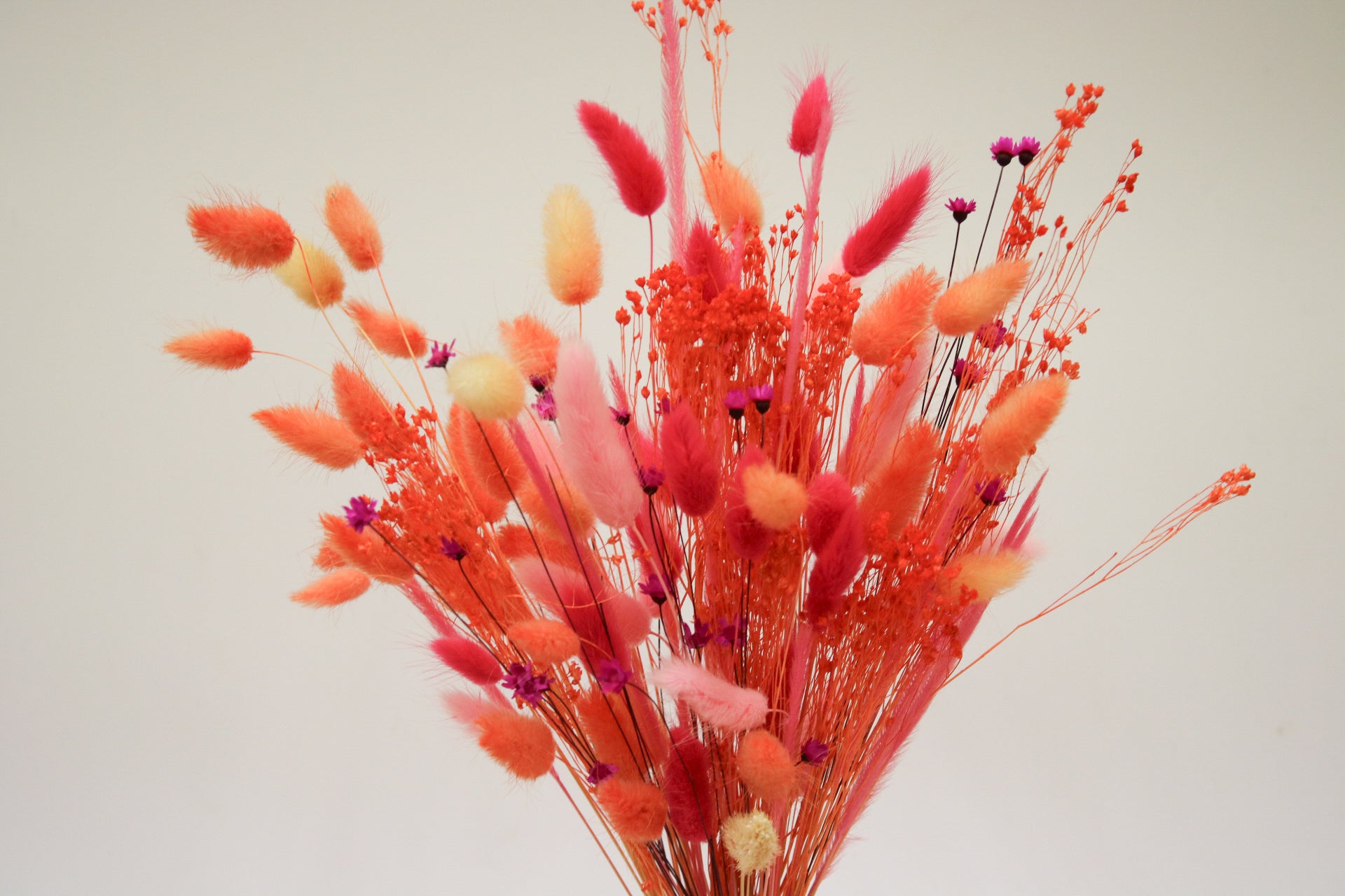 Orange & Pink Dried Flower Bouquet - Magic and Stars -Dried Flowers-Wildest Dreams Flowers