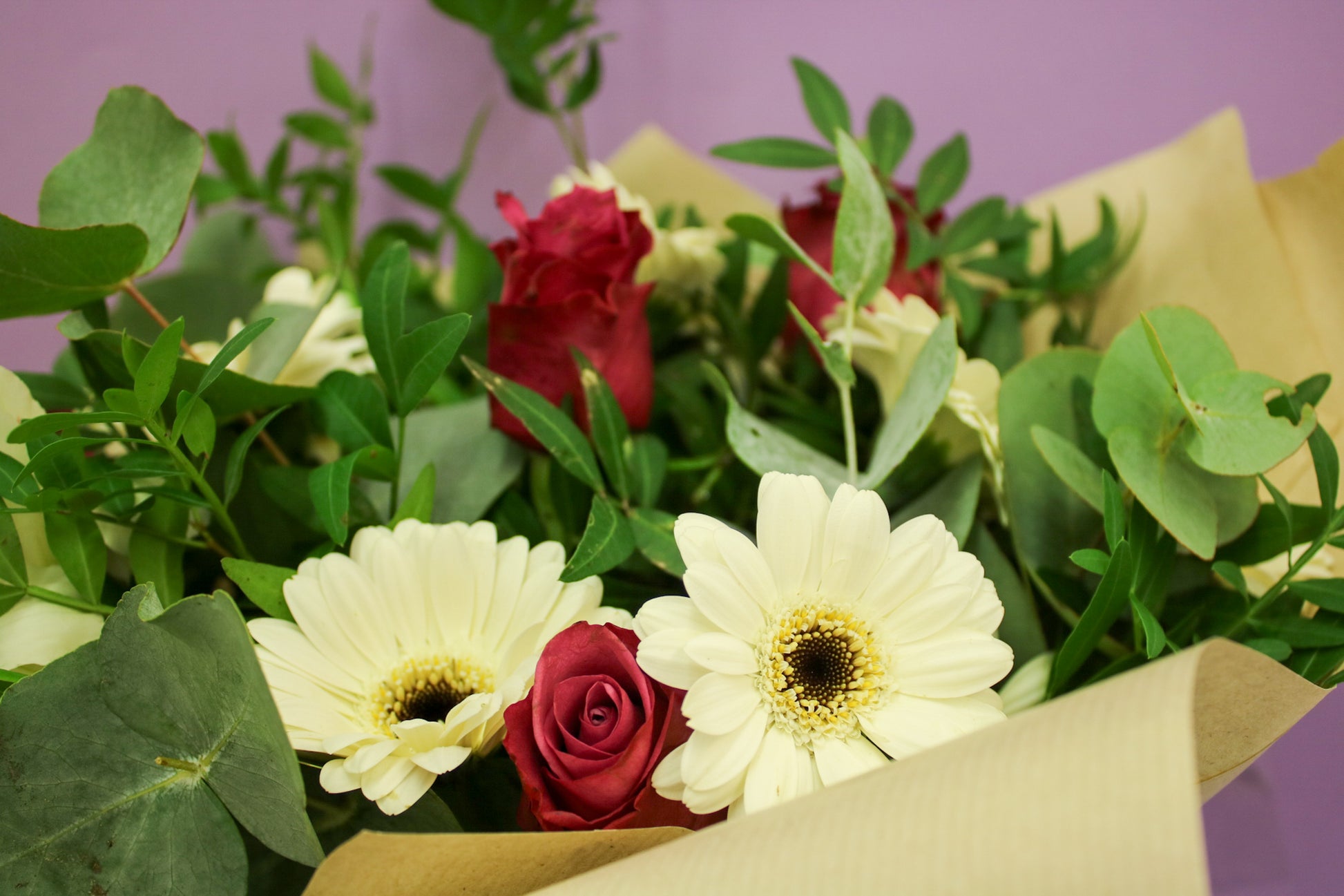 Vibrant Gerbera Seasonal Bouquet - Fresh Hand-Tied Flowers