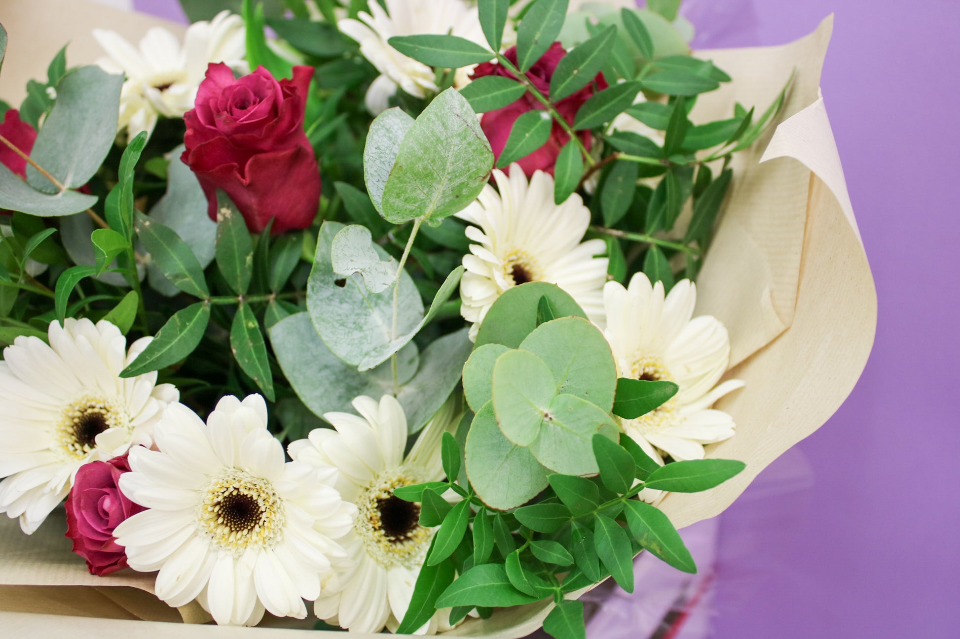Vibrant Gerbera Seasonal Bouquet - Fresh Hand-Tied Flowers