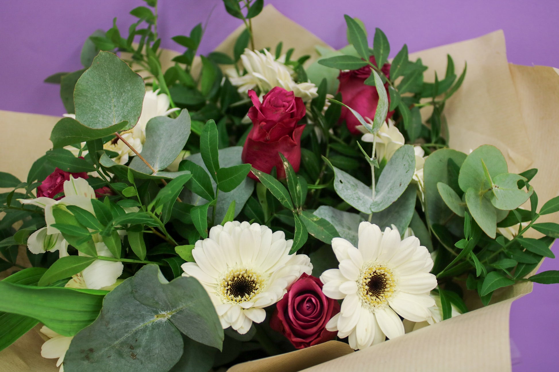 Vibrant Gerbera Seasonal Bouquet - Fresh Hand-Tied Flowers