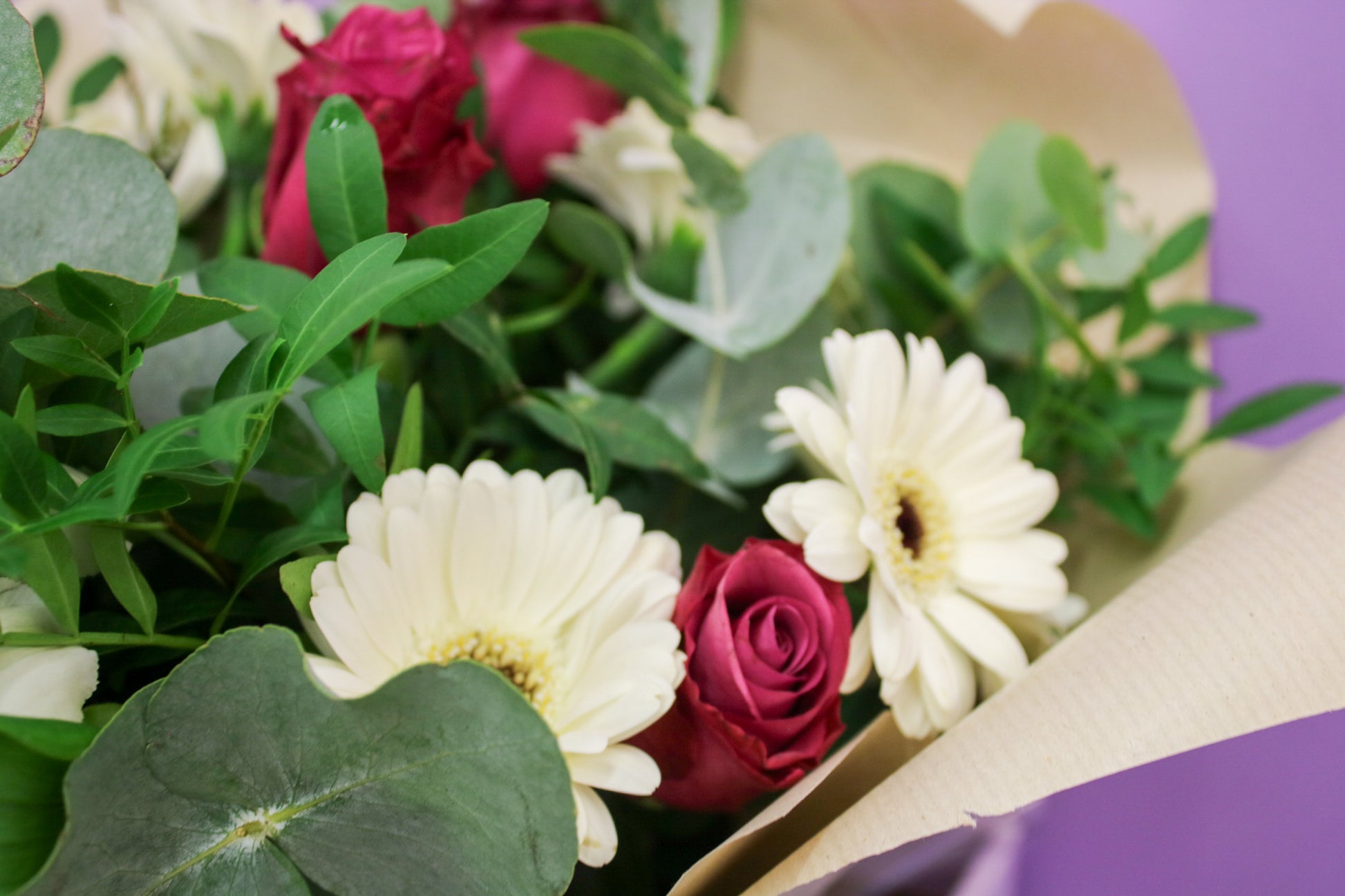 Vibrant Gerbera Seasonal Bouquet - Fresh Hand-Tied Flowers