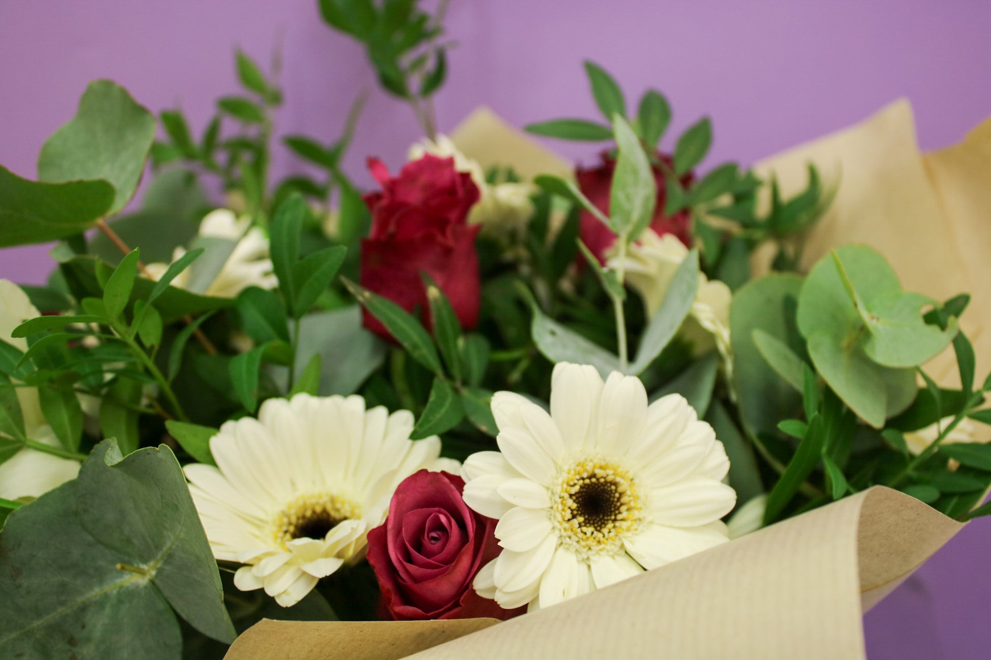 Vibrant Gerbera Seasonal Bouquet - Fresh Hand-Tied Flowers