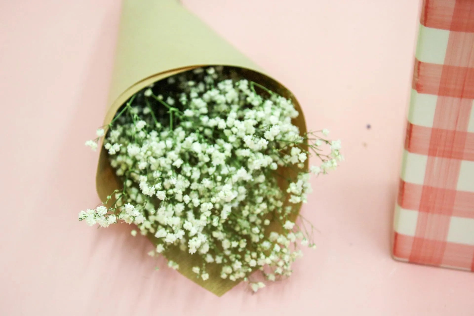 Fresh White Gypsophila Bunch
