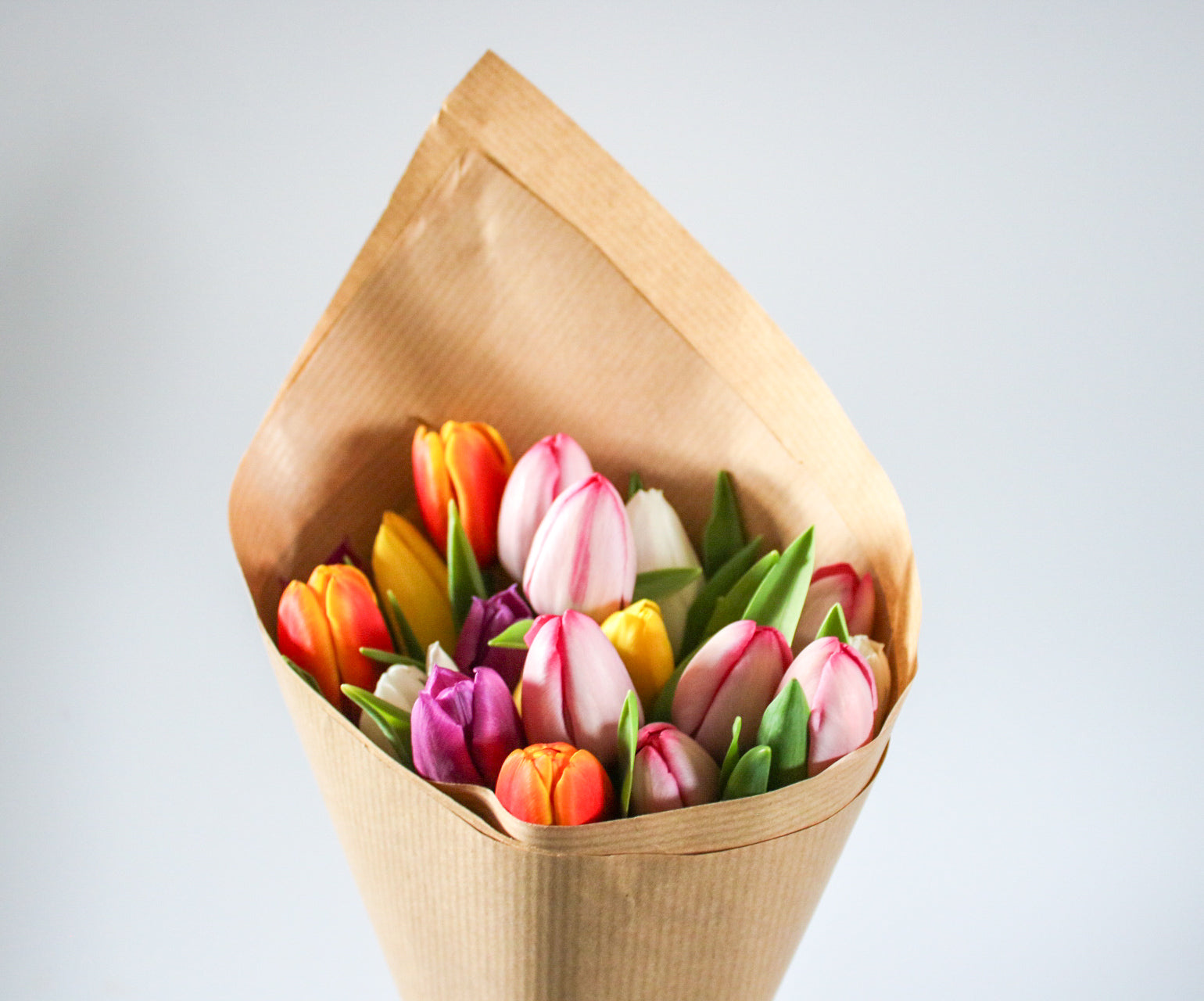 Tulips - Seasonal Bouquet