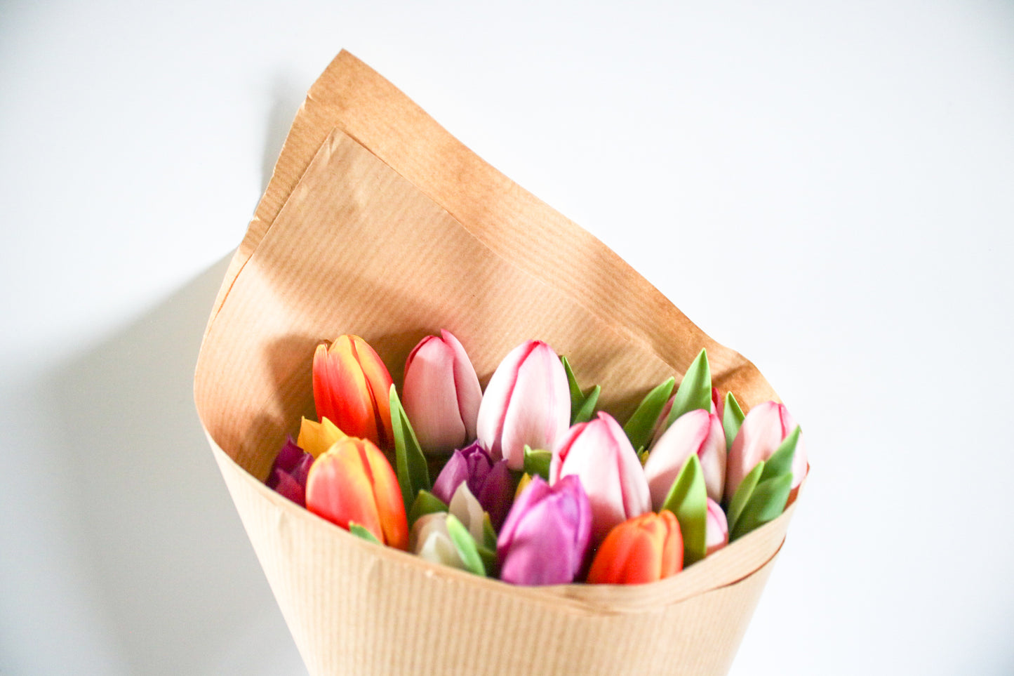 Fresh Mixed Coloured Spring Tulip Bunch