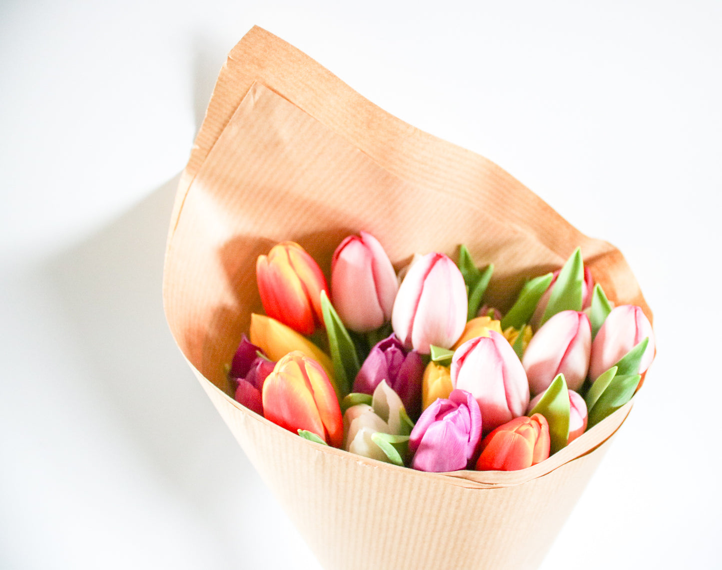 Fresh Mixed Coloured Spring Tulip Bunch