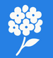 White flower icon on a blue background