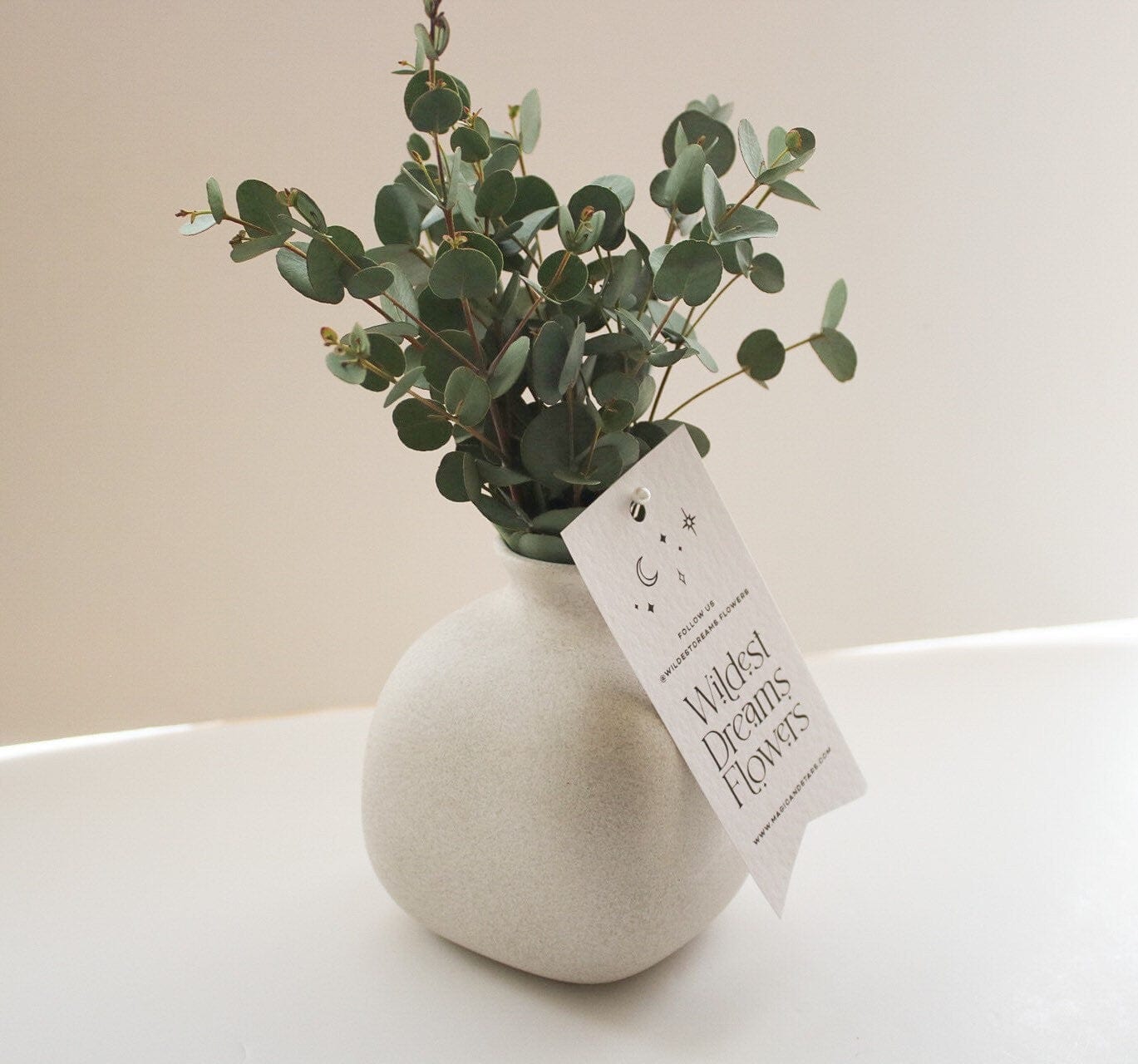 Dried Mini Eucalyptus Bunches Gunni Eucalyptus - Magic and Stars --Wildest Dreams Flowers 