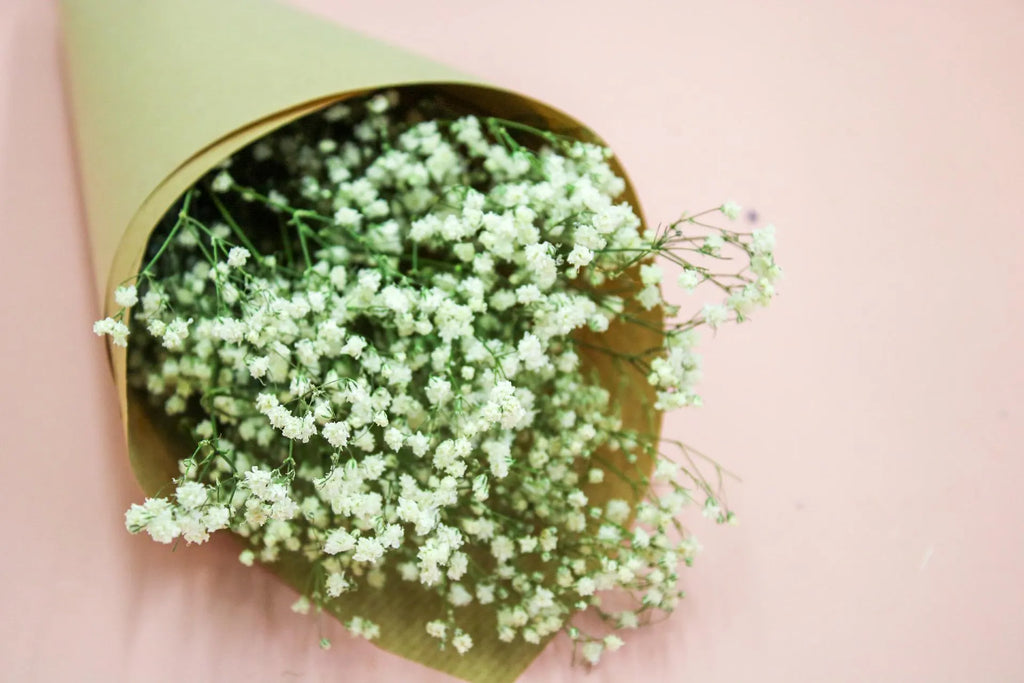 Fresh White Gypsophila Bunch