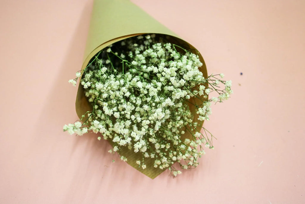 Fresh White Gypsophila Bunch