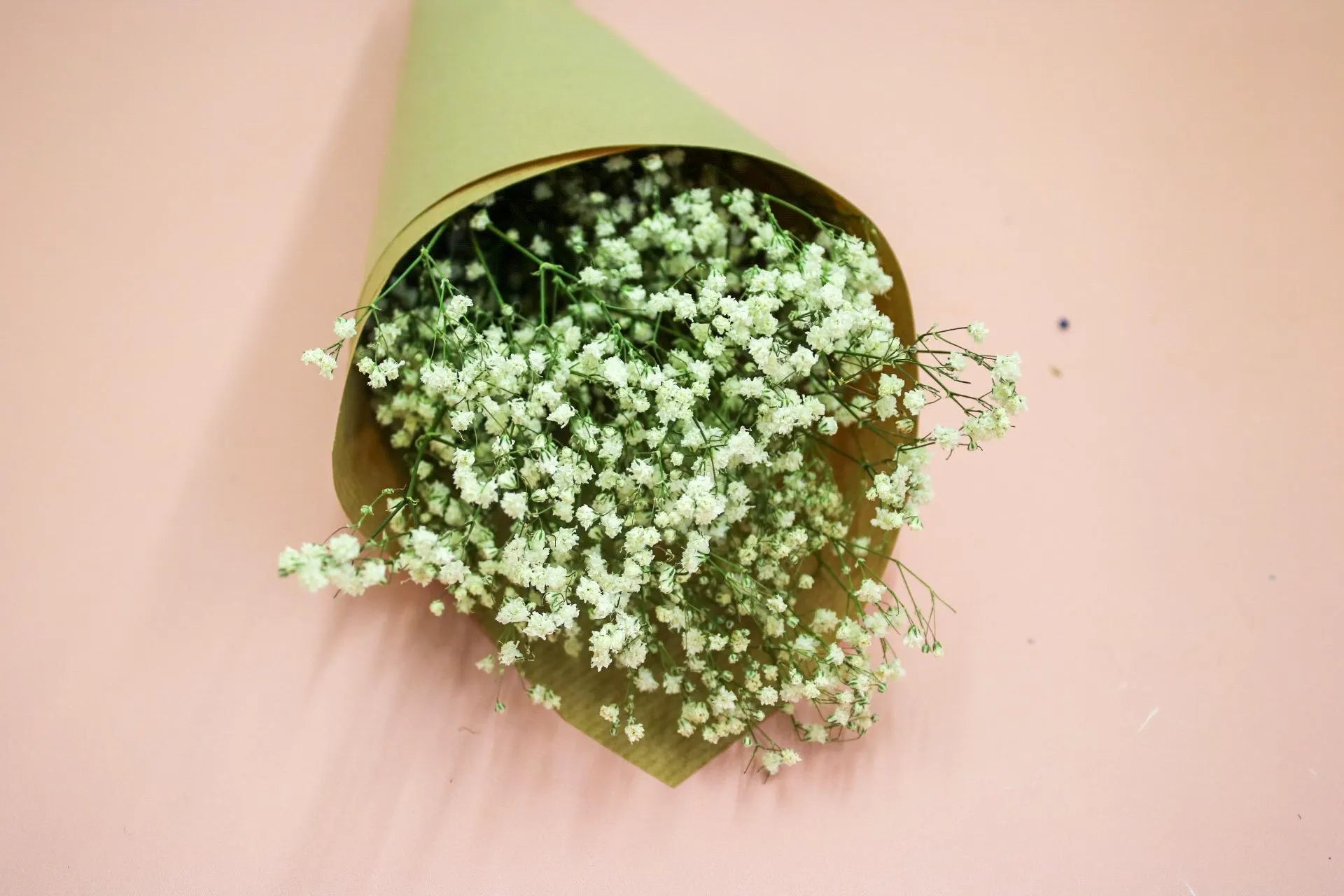 Fresh White Gypsophila Bunch